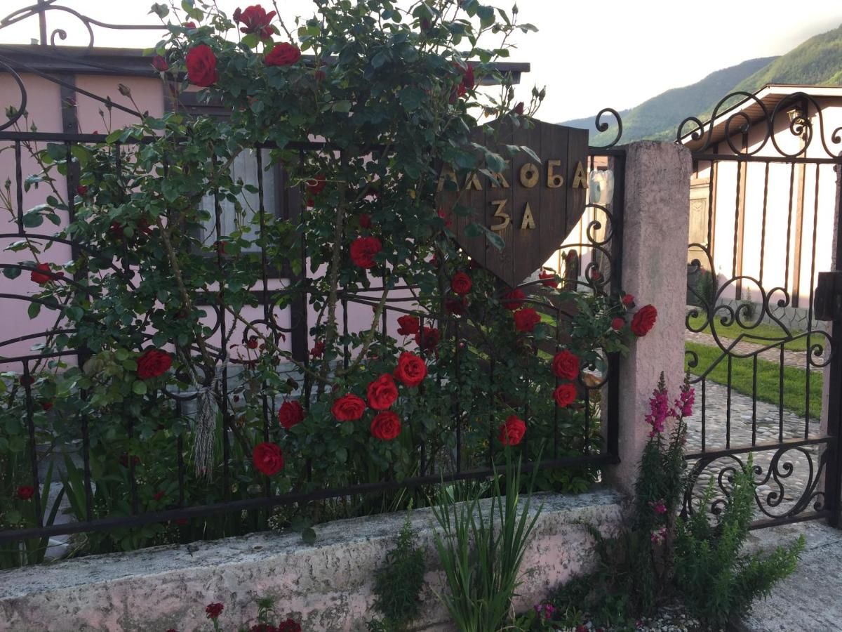 Гостевой дом Guest House Gelios Гагра-14