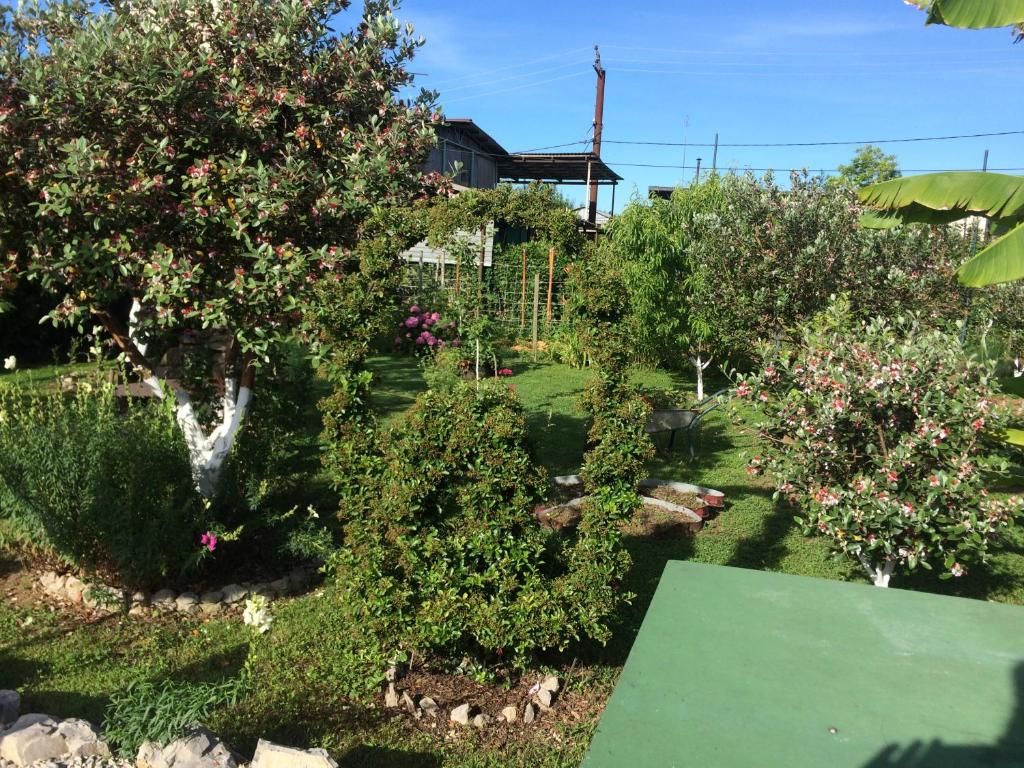 Гостевой дом Guest House Gelios Гагра-58