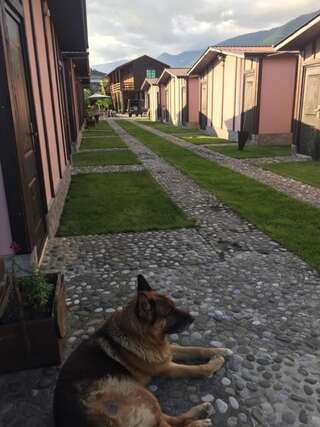 Гостевой дом Guest House Gelios Гагра Двухместный номер Делюкс с 1 кроватью или 2 отдельными кроватями-35