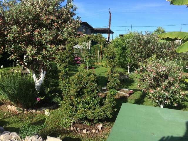 Гостевой дом Guest House Gelios Гагра-57