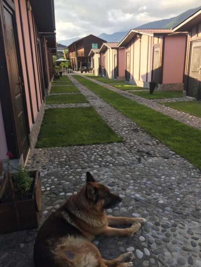 Гостевой дом Guest House Gelios Гагра-68